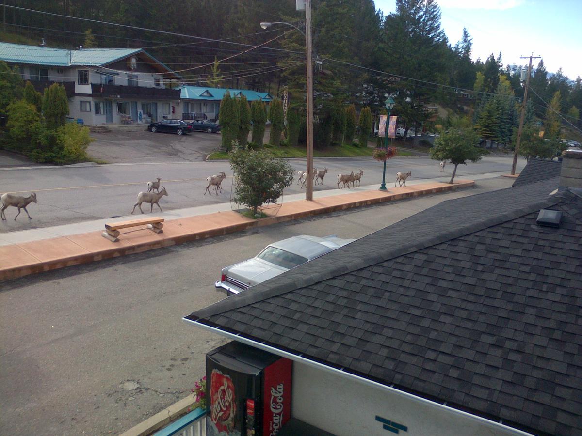Appletree Inn Radium Hot Springs Exterior foto