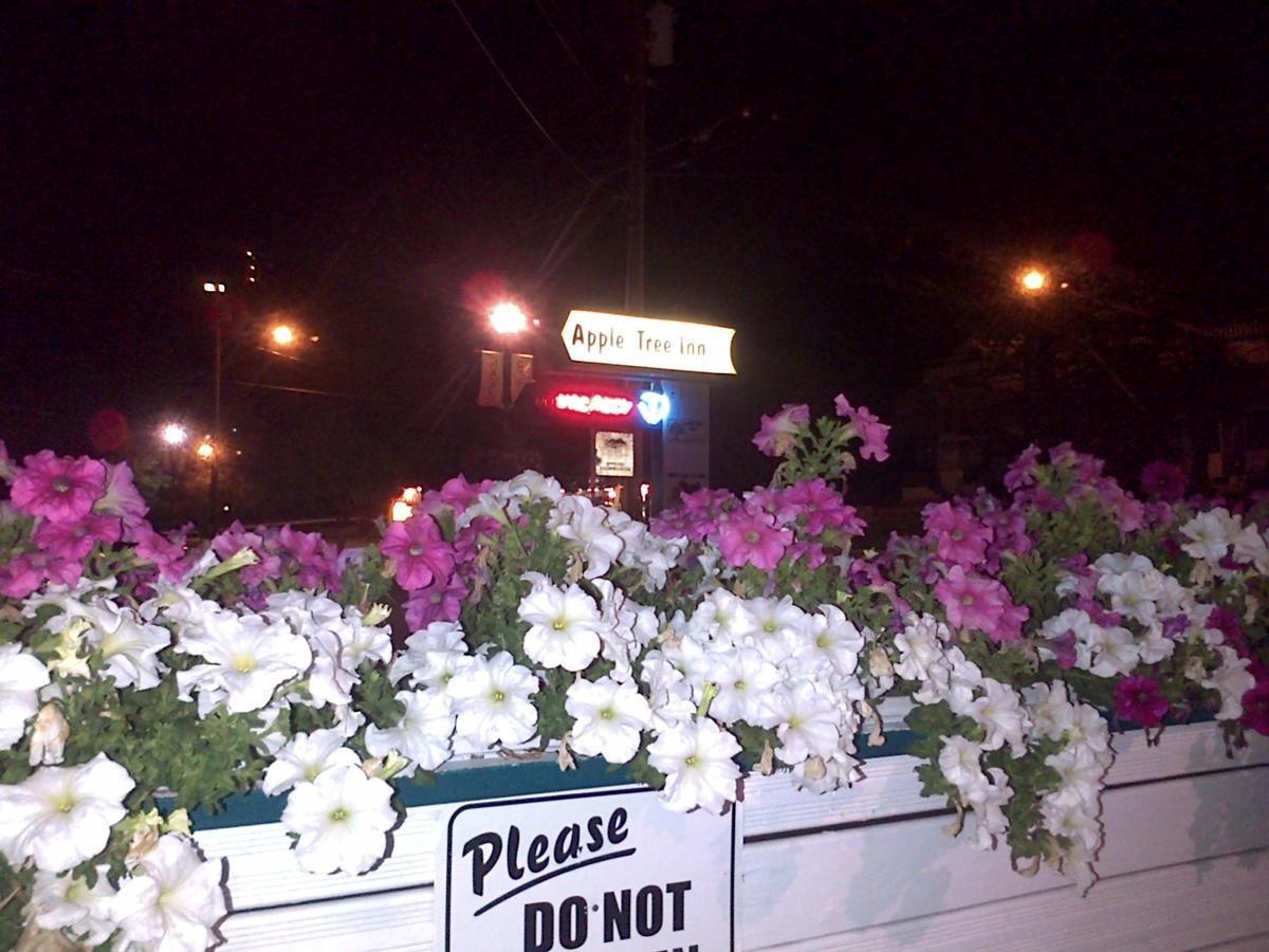 Appletree Inn Radium Hot Springs Exterior foto